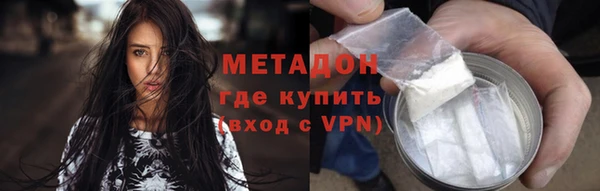 сатива Новозыбков