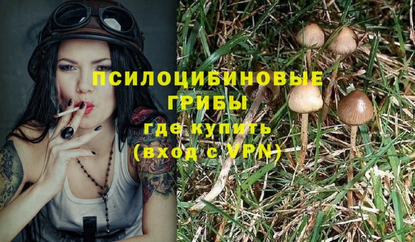 СК Аркадак