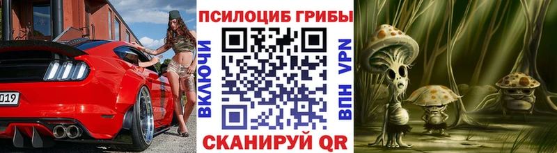 купить   Артёмовский  Галлюциногенные грибы MAGIC MUSHROOMS 
